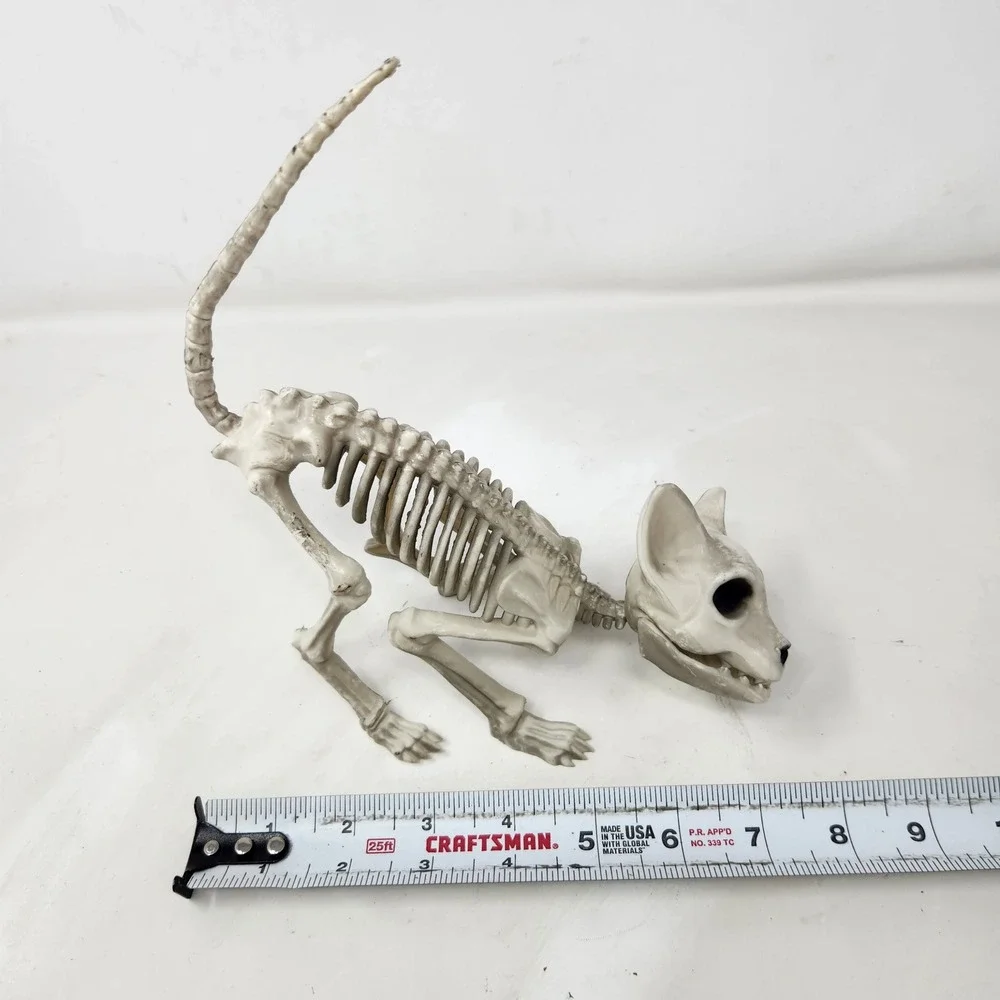 Seasons Halloween Cat Skeleton Prop Posable Tail Movable Jaw Spooky Decor